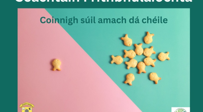 Seachtain Fhrithbhulaíochta